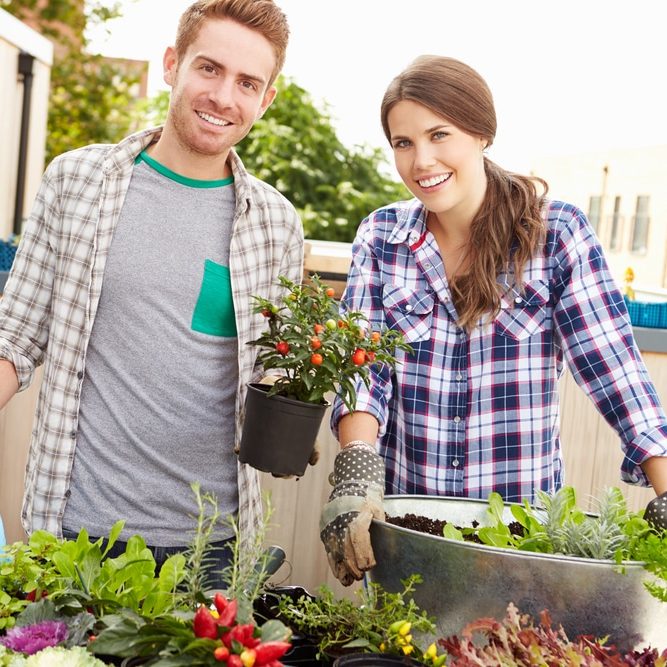 Mixed,Race,Couple,Planting,Rooftop,Garden,Together